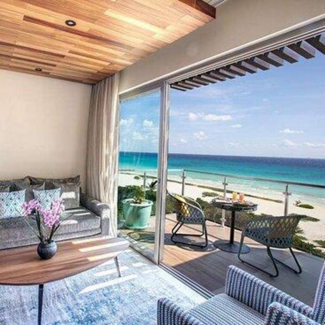 ✨Honeymoon Magic ✨