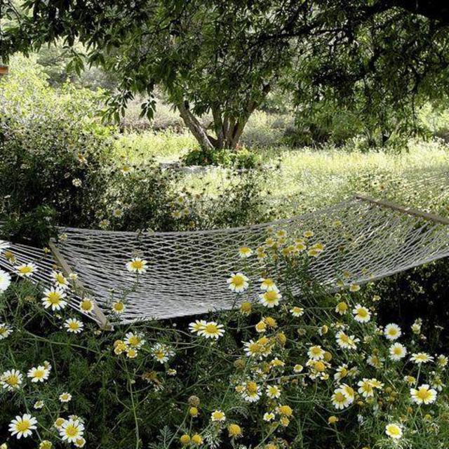 Hammock Fund