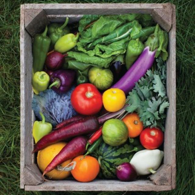 Fresh from the Farmers Market