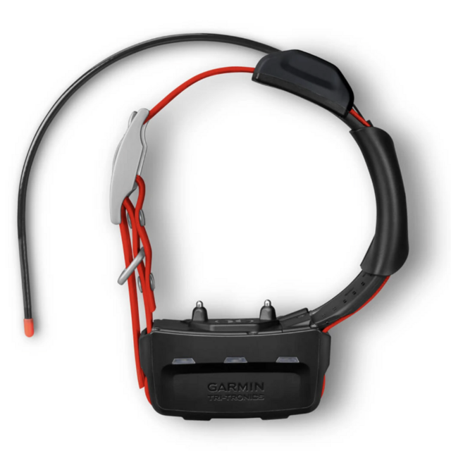 Garmin GPS Collar for Grizzly