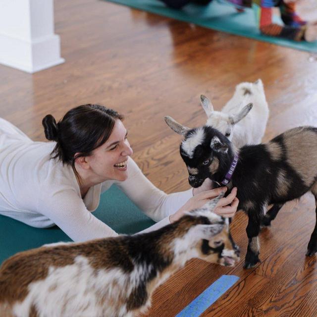Goat Yoga for Two