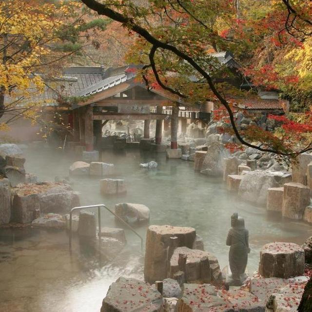 Japan Honeymoon - Hot Springs Hotel