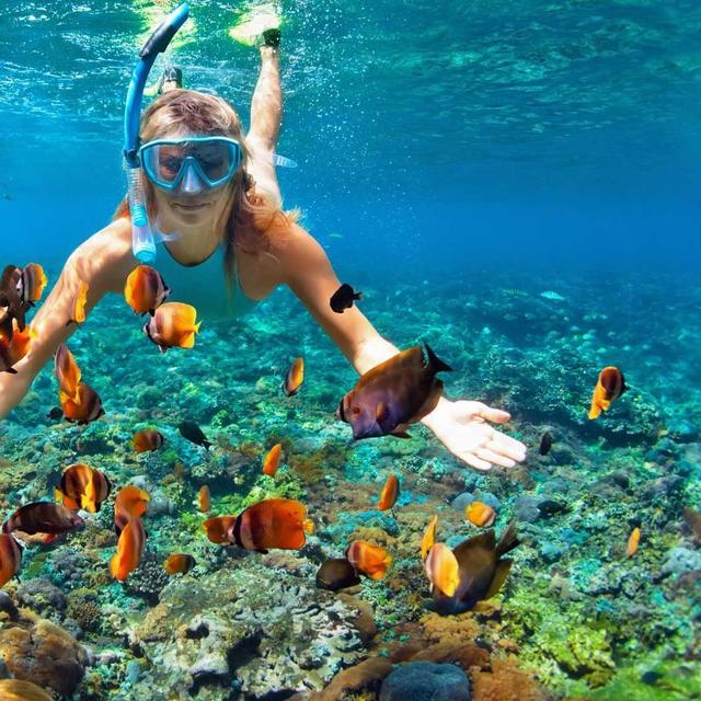 Snorkeling