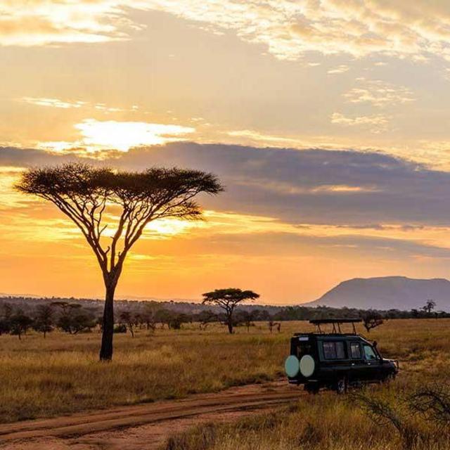 South Africa Honeymoon Fund