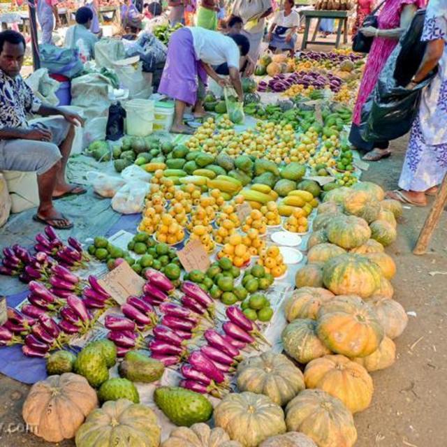 Town and Market Trip
