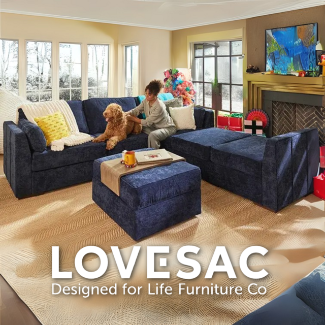 LoveSac Couch