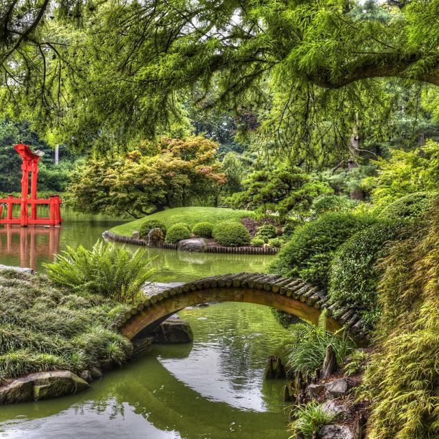 Brooklyn Botanic Garden Dual Membership