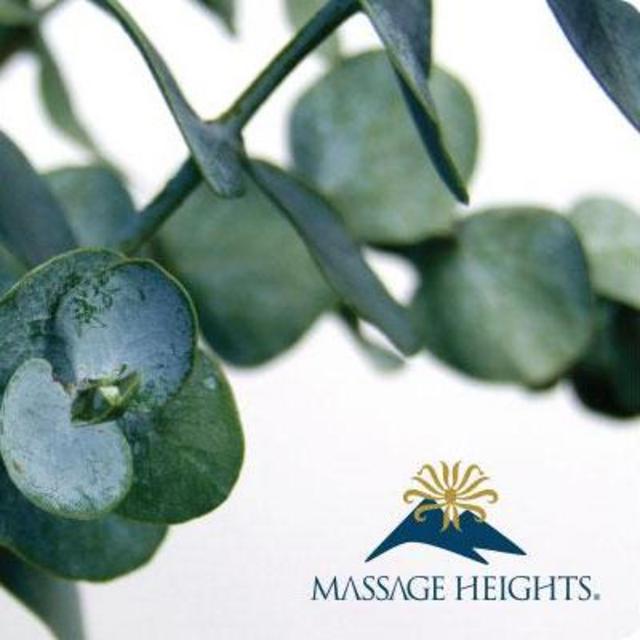 Massage Therapy Gift Card
