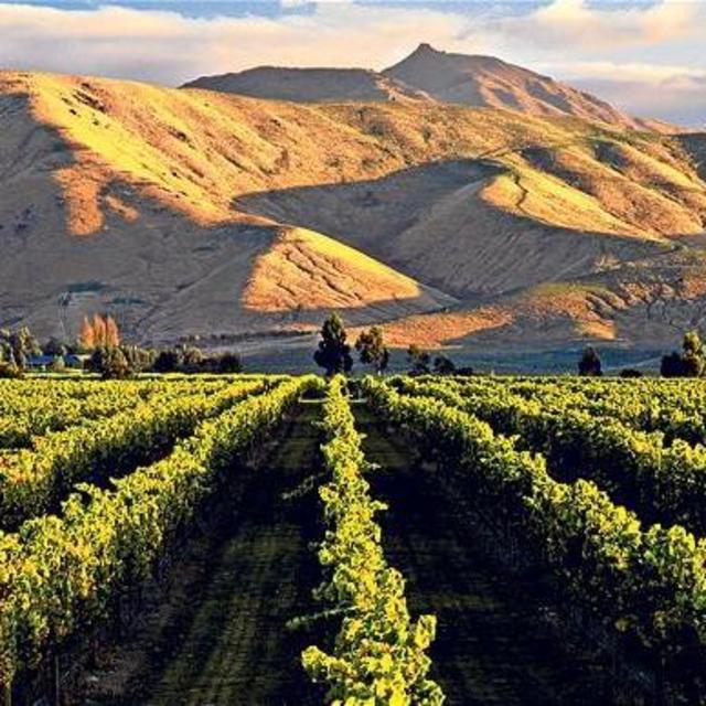 Biking Wine Tour