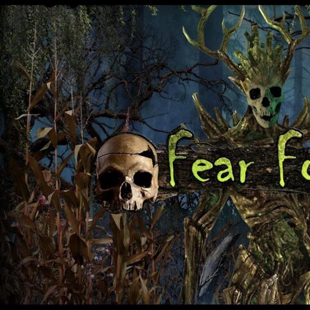 Night out at fear forest