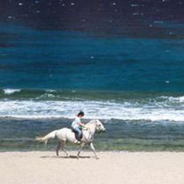 Horseback Riding on the Beach
