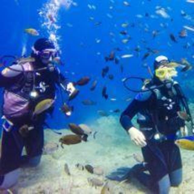 Scuba Lessons