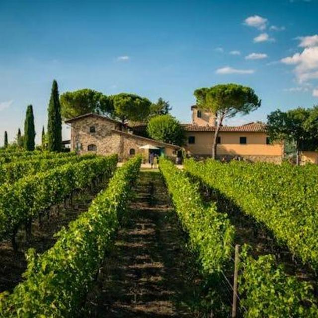 Farm and Wine Tour in Tuscany