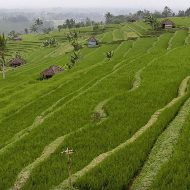 Countryside Excursion
