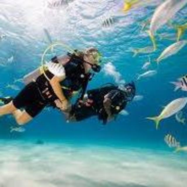 Scuba Diving in Bali