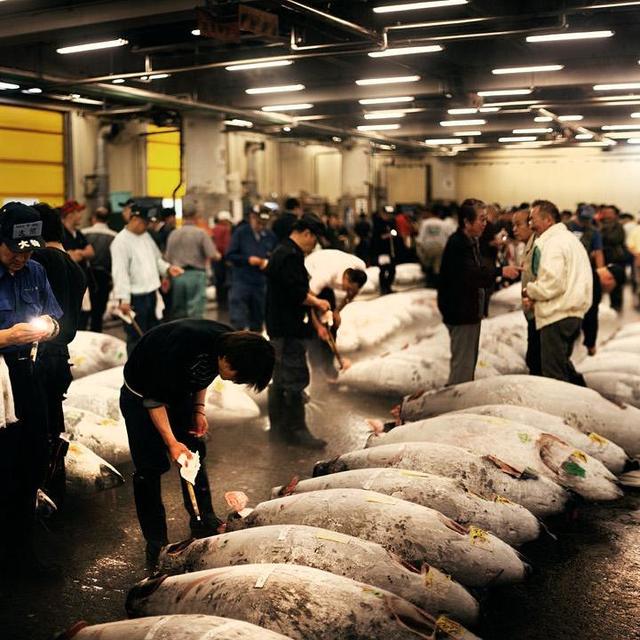 Sushi for Two at Tsukiji Fish Market