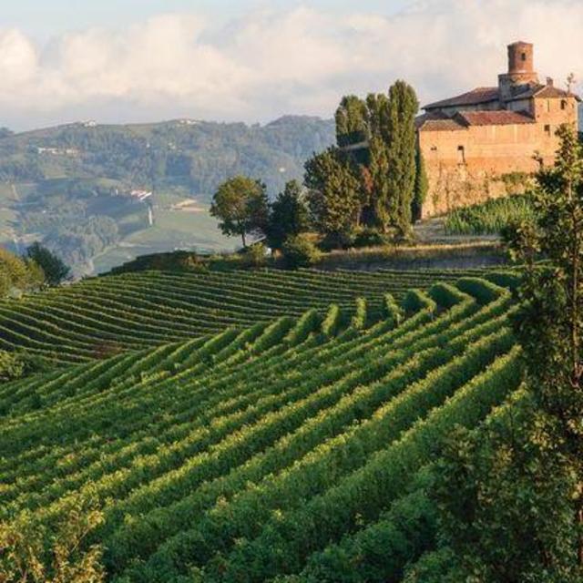 South Tyrolean Wine Tour