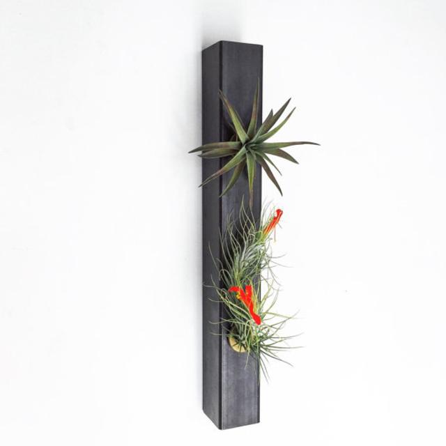 Air Planter Gifts - minimalist planter - Boho Chic Planter - Indoor Planter - Air Plant Wall Holder Planter in Raw Steel, White, Gold.