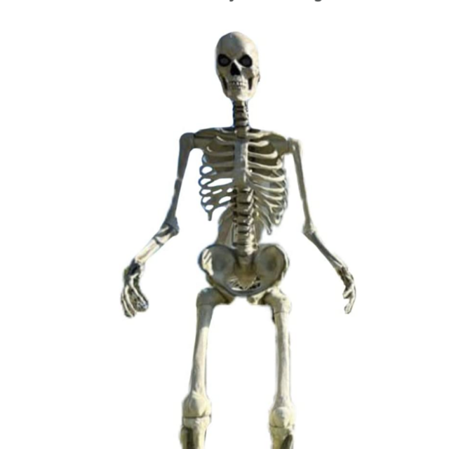 12 ft. Giant-Sized Skeleton with LifeEyes