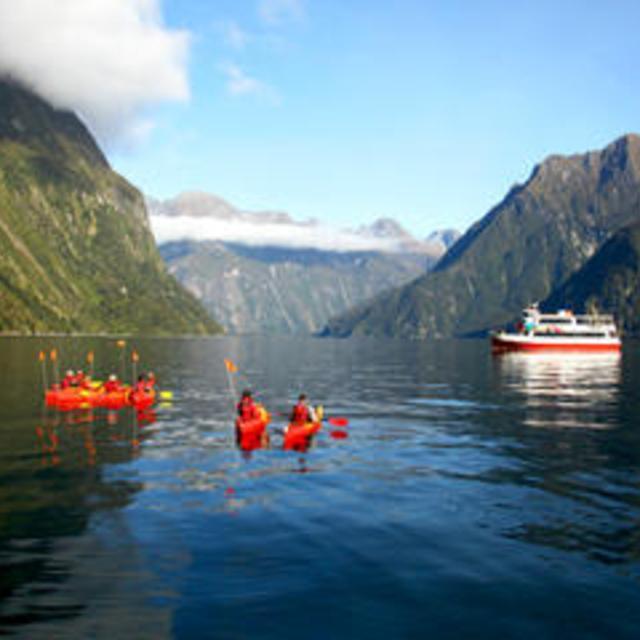 Milford Sound Cruise with Optional Kayak Tour