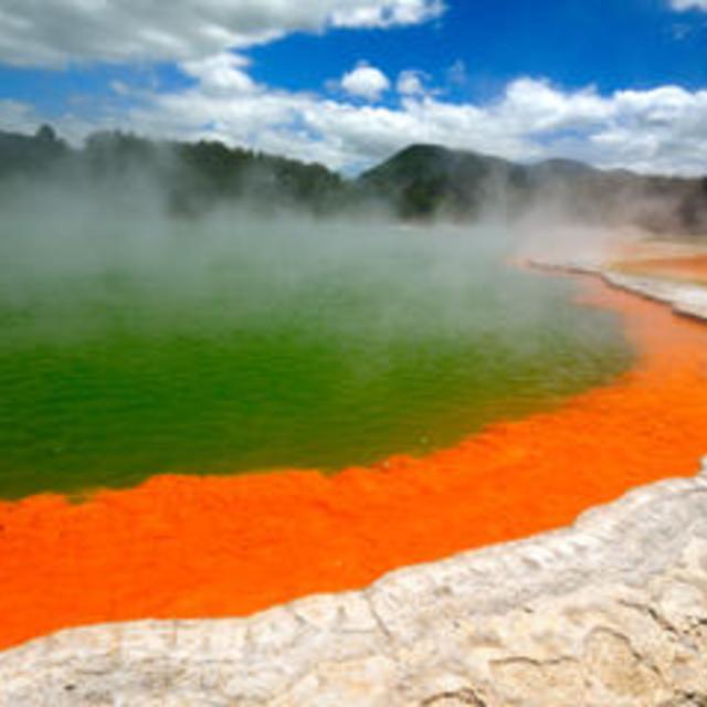 Rotorua Eco Thermal Small Group Full-Day Tour