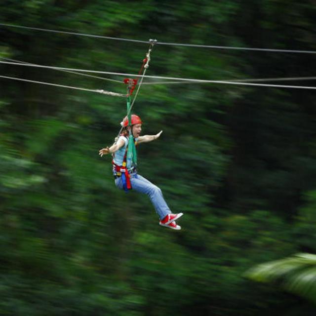 Daintree Rainforest Zipline and Wildlife Habitat Day Trip