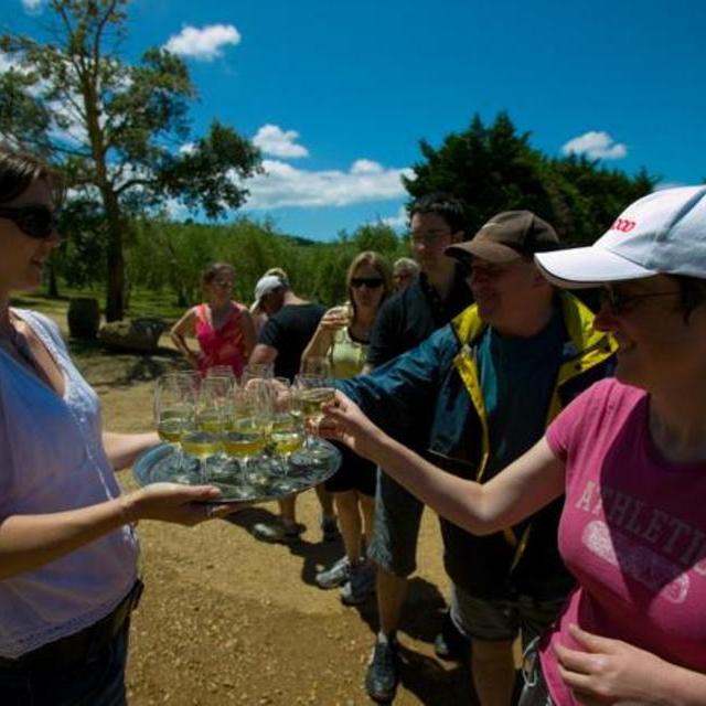 Food and Wine-Tasting Tour of Waiheke Island from Auckland