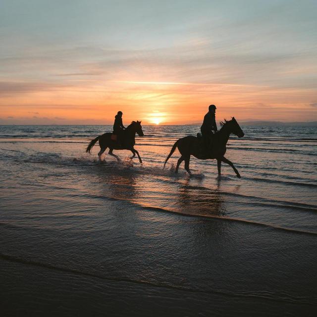 4-day horseback tour of Israel's Carmel Coast & ancient city of Caesarea