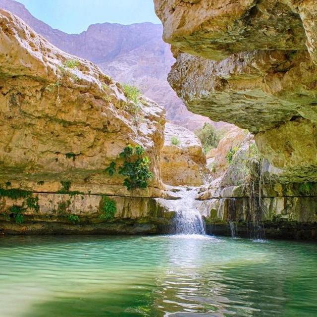 Day Trip to Ein Gedi Nature Reserve