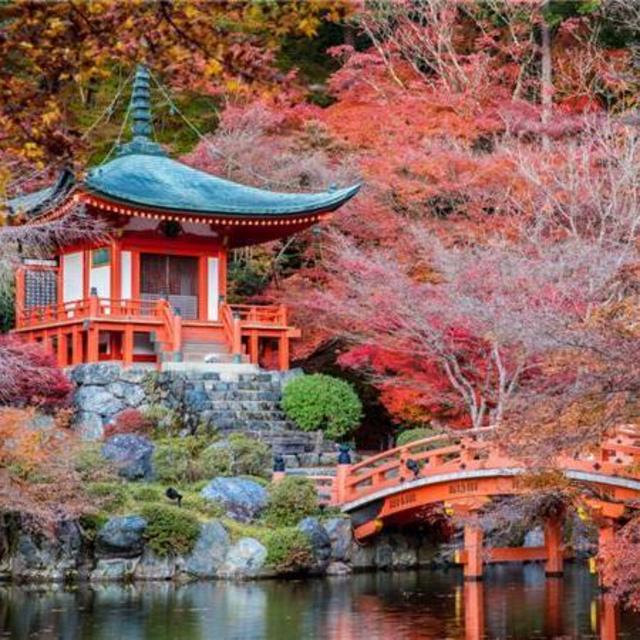 Japan Honeymoon Fund