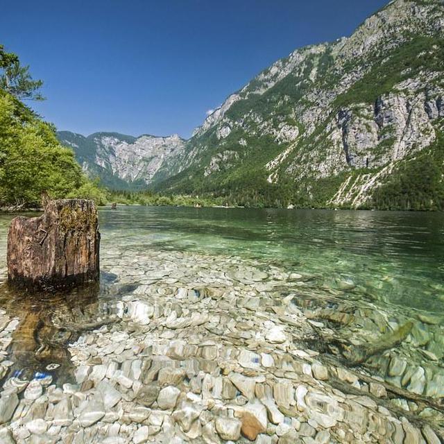 Daily Picnic Provisions for Lake Bohinj