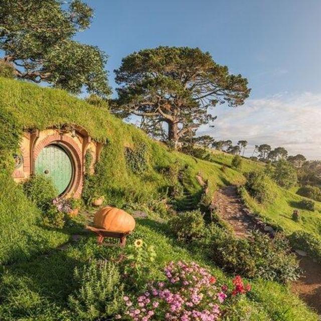 Honeymoon: Hobbiton Movie Set Tour
