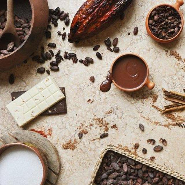 Guatemalan Chocolate Making Workshop