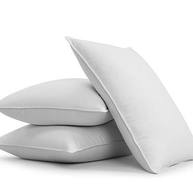 2 Plush Down Alternative Pillows - King
