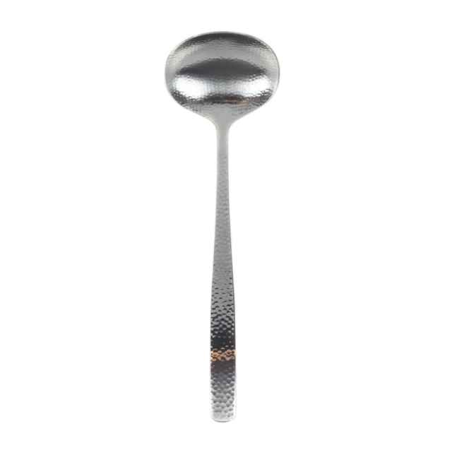 Stainless Steel Ladle