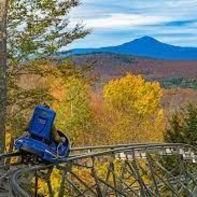 Mountain Coaster Tickets for 2