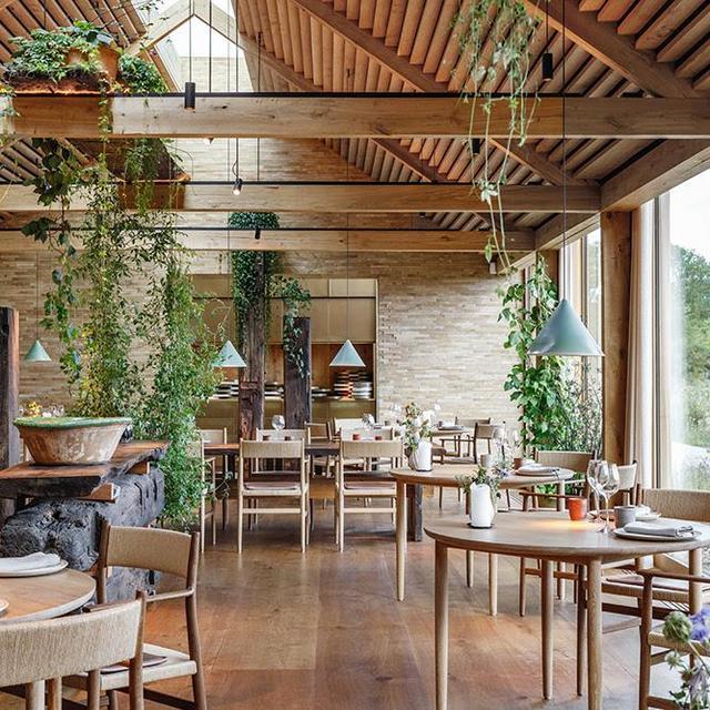 Our Future Restaurant Fund