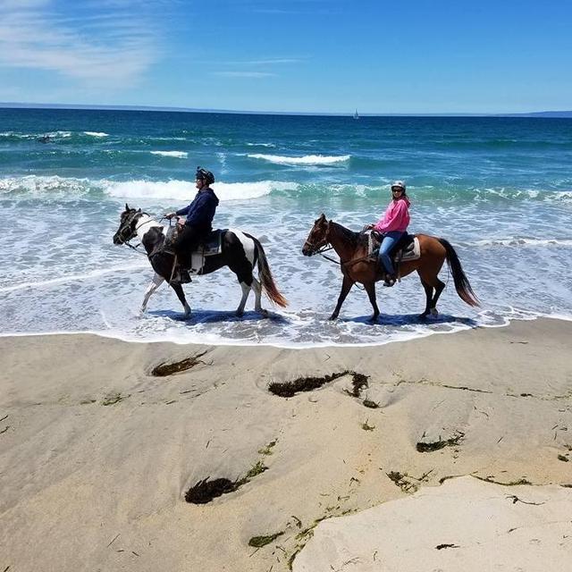 Horseback Riding on the Beach for 2
