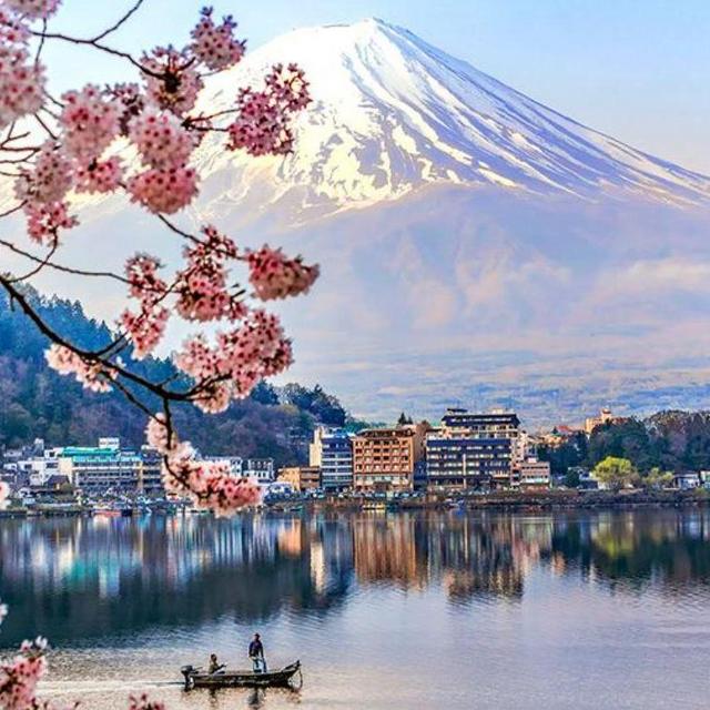 60 Minute Couples Massage - Honeymoon