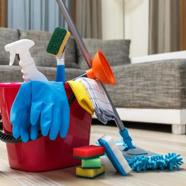 Monthly Home Cleaning