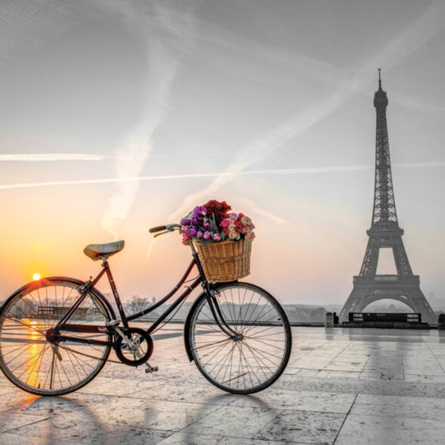 Bike Tour of Paris