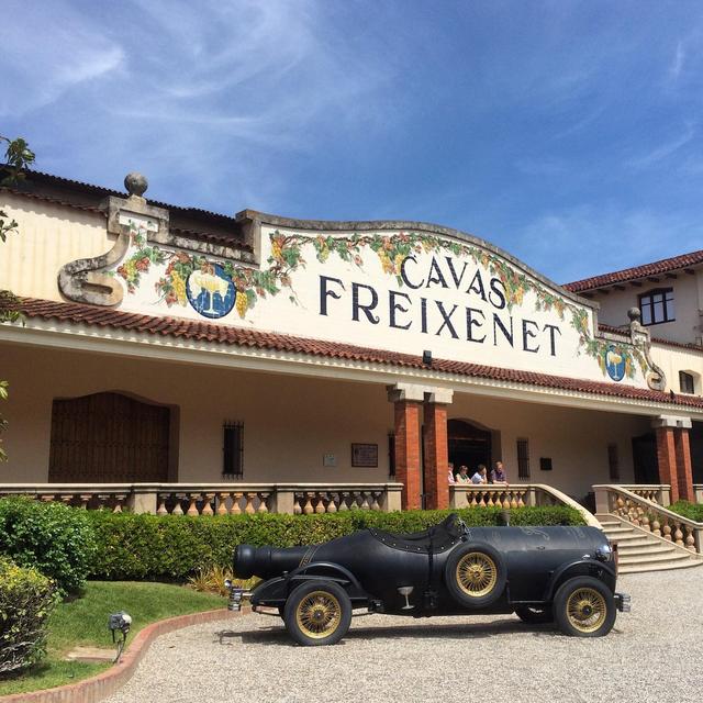 Wine Tour