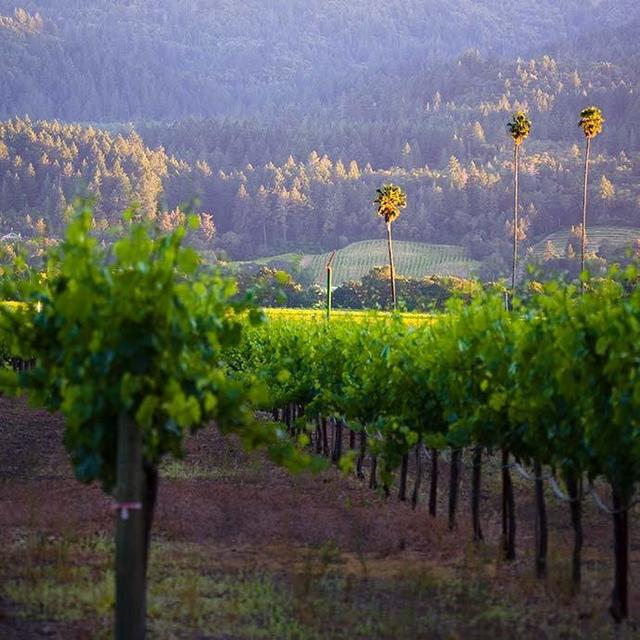 Duckhorn Vineyards Estate Tasting
