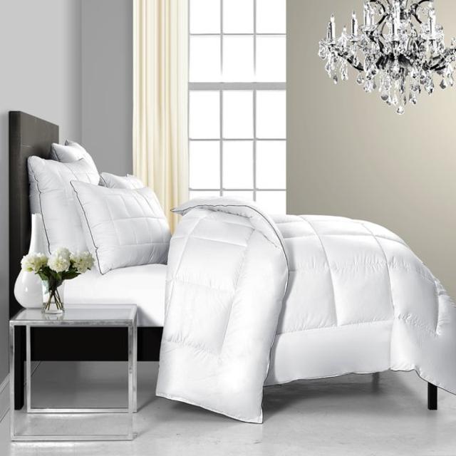 Ultra Soft MicroDown Alternative Comforter by Maison International