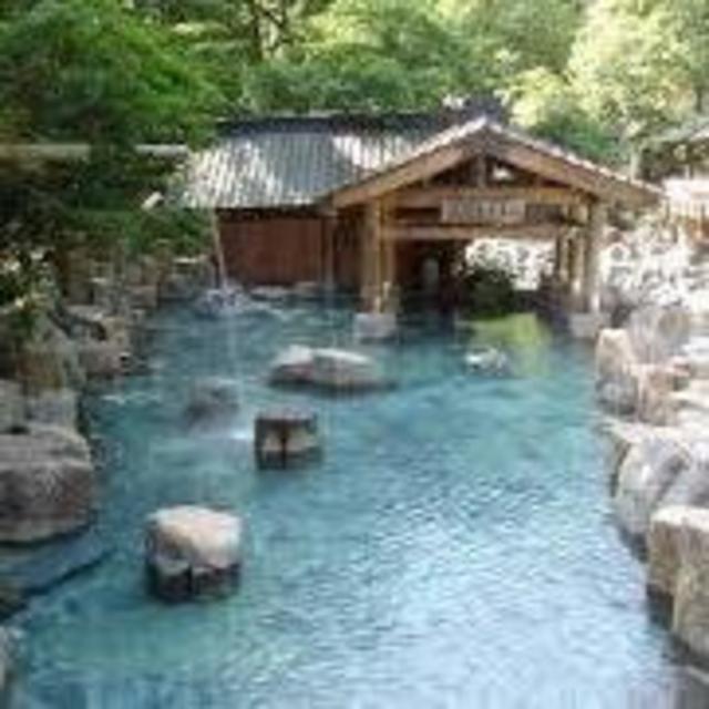 Help Us Visit an Onsen