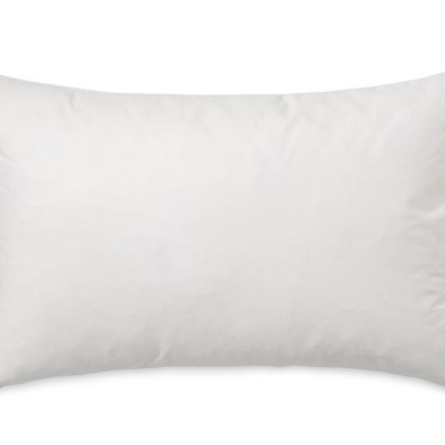 Williams Sonoma Decorative Pillow Insert, 14" X 22"