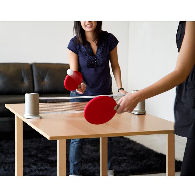 Portable Table Tennis