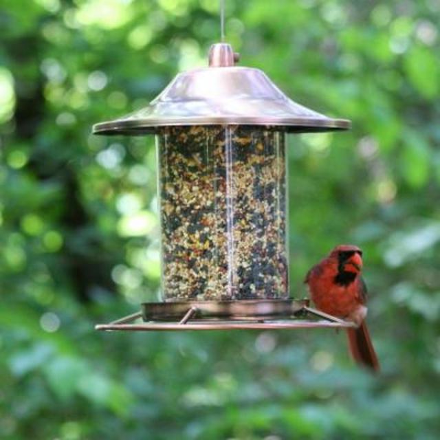 Copper Panorama Bird Feeder