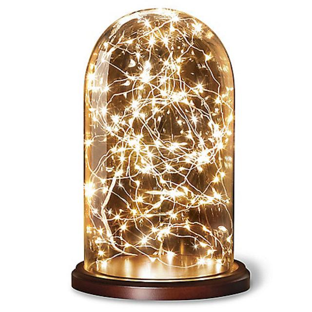 Loft Living Cloche with 20-Foot LED String Lights