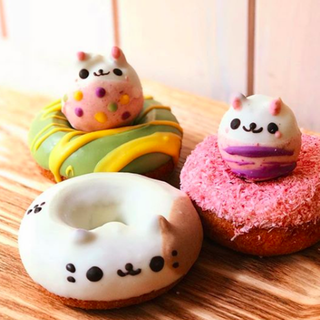 Floresta Nature Doughnuts